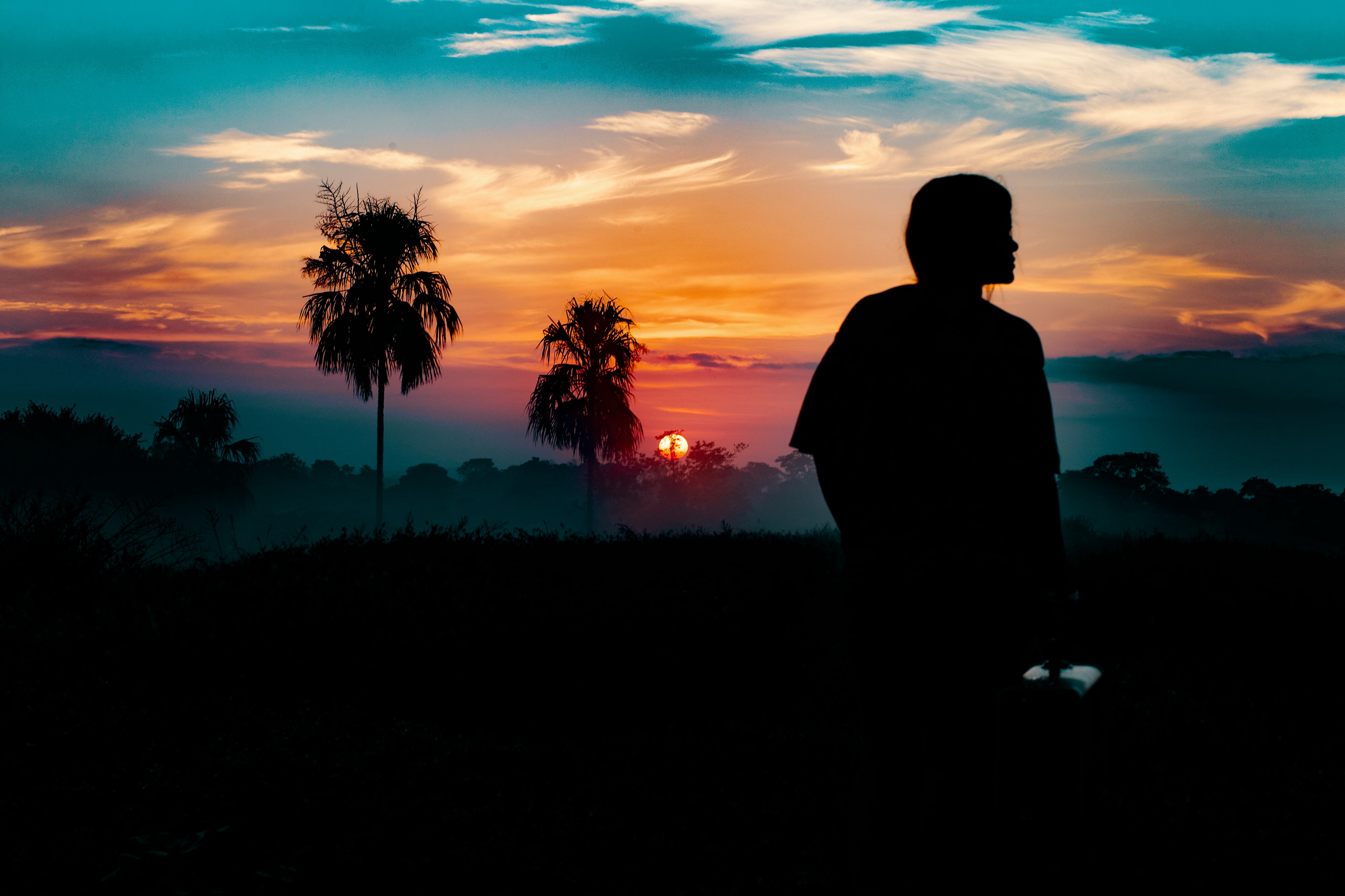 silhouette photography of person standing far from trees during golden hour